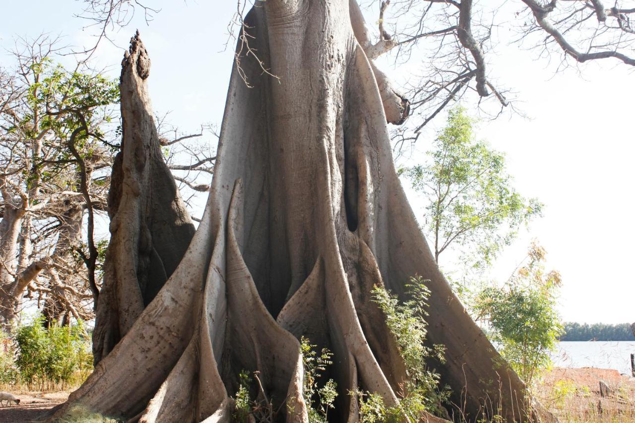 Bintang Bolong Lodge 外观 照片